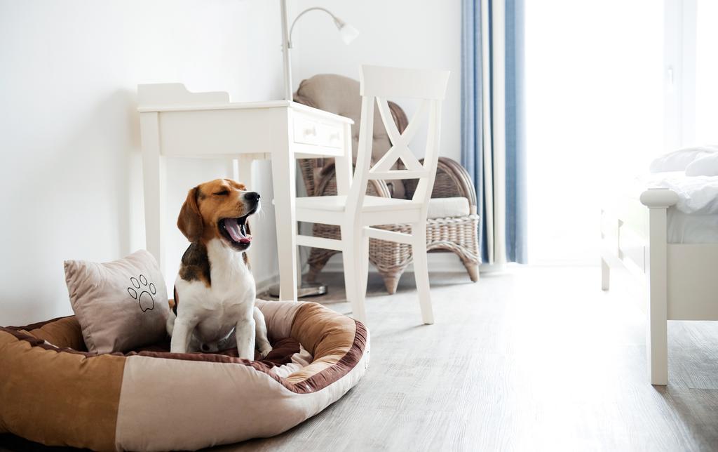 Hotel, Restaurant, Cafe Pharisaeerhof - Nordseeurlaub Mit Hund 노드스트랜드 외부 사진