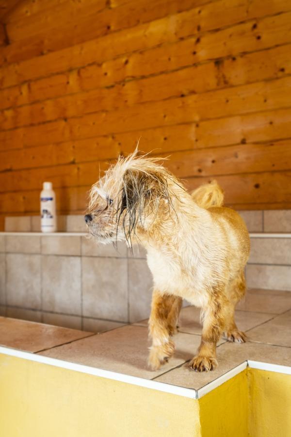 Hotel, Restaurant, Cafe Pharisaeerhof - Nordseeurlaub Mit Hund 노드스트랜드 외부 사진